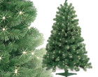 Macy's Christmas trees