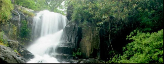 thekkady